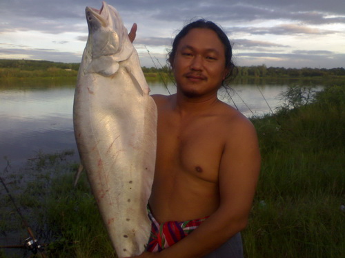 ลองดูอีกที