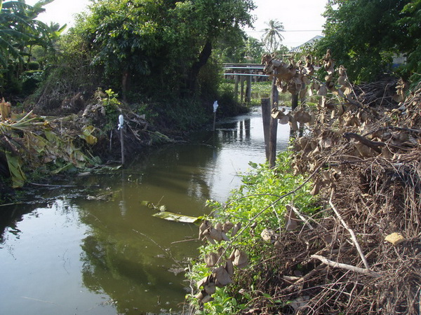 เดินชายคลอง ก่อนตะวันตกดิน