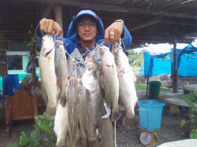 กระพงบุฟเฟ่ต์ เทกซัสชวนชม มาแล้วจ้าาา