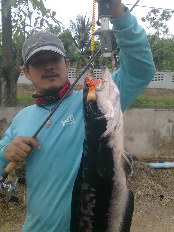 หัดส่งหัดโพสหัดทำกบกระโดดครับ