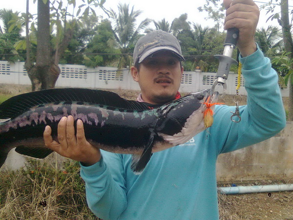 หัดส่งหัดโพสหัดทำกบกระโดดครับ