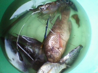 ว่างๆๆเลยไปตกปลาหมายเดิม