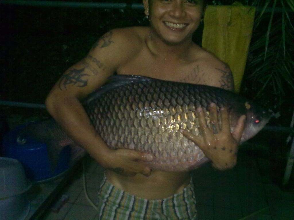 ไม่ใหญ่ไม่โต 15 kg กว่าๆ