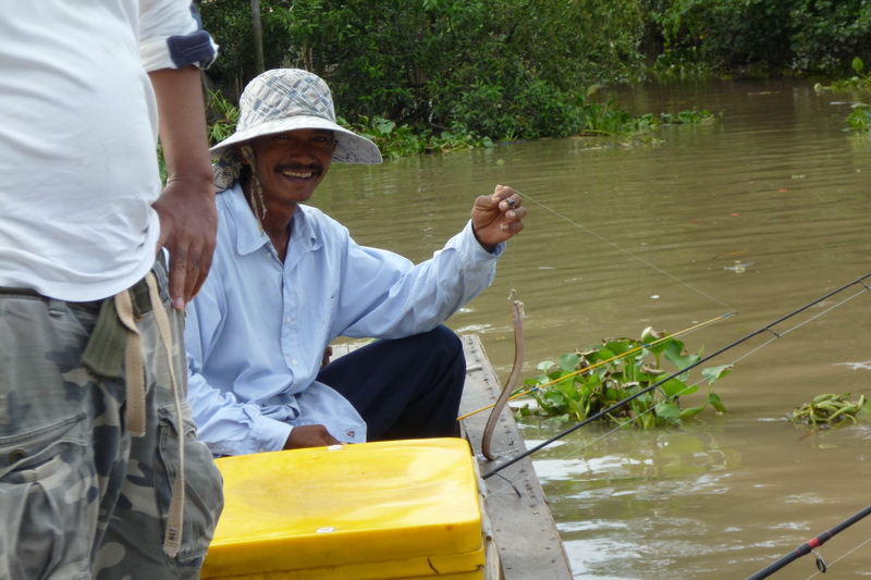 บางปะกง ในวันน้ำแรง.....