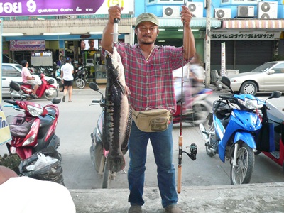 สมาชิกใหม่.....แต่ชอบจัดหนัก
