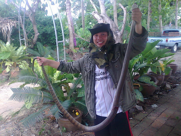 งงงงูๆๆๆ(ถึงว่าปลาหายไปไหนหมด)