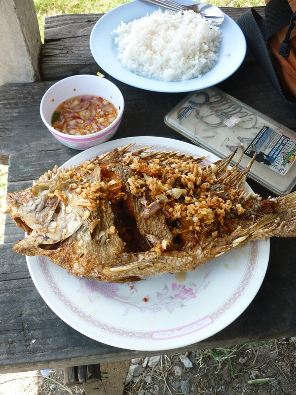 เอามาฝากคอหลิวคับ..