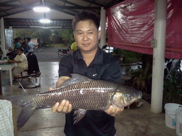 ขอบคุณทุกรอยยิ้ม ที่มาเยือนบีงบึก