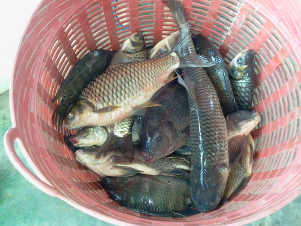 ขอบคุณทุกรอยยิ้ม ที่มาเยือนบีงบึก