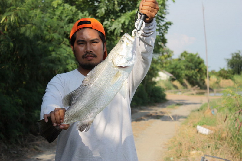 กระพงขังแปดริ้วครับ   <b>ปิด</b>