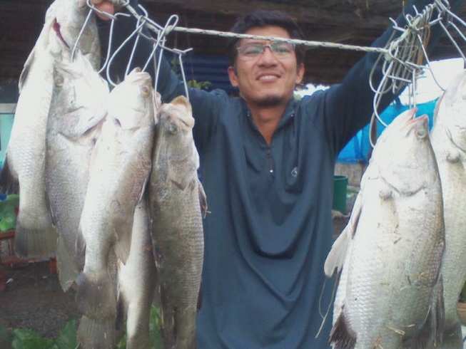 กระพงบุฟเฟ่ต์ เทกซัสชวนชม ครับผม