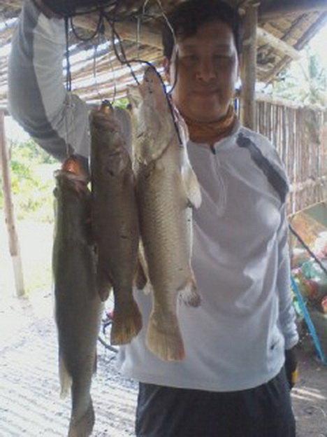 กระพงบุฟเฟ่ต์ เทกซัสชวนชม ครับผม