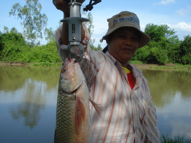 เสน่ห์คลองจรเข้สามพัน 1 อู่ทอง สุพรรณบุรี(เพิ่มแผน