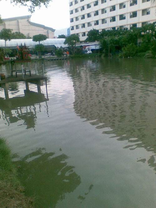 หมายใหม่ที่ห้ามตก