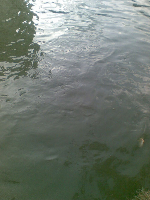 หมายใหม่ที่ห้ามตก