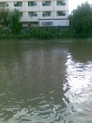หมายใหม่ที่ห้ามตก