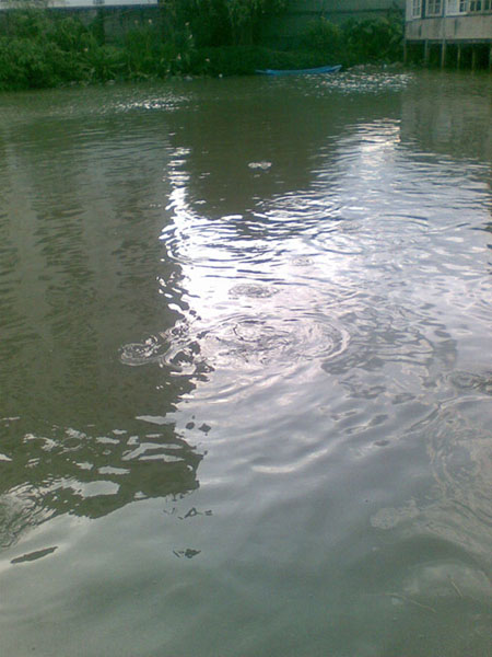 หมายใหม่ที่ห้ามตก