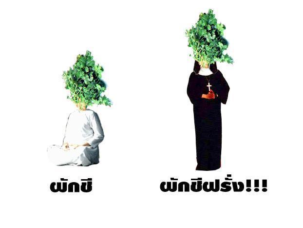 เฮฮา วัน พระ