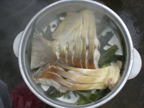 ปลาเปคู ครับผม