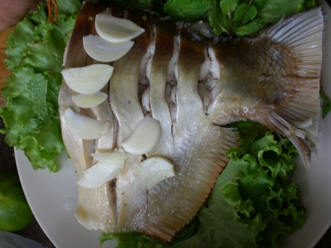 ปลาเปคู ครับผม