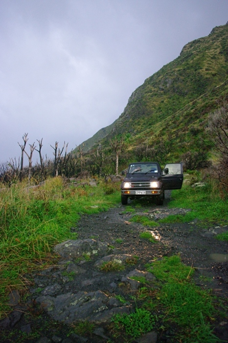 ตกปลา kahawai  (new zealand)