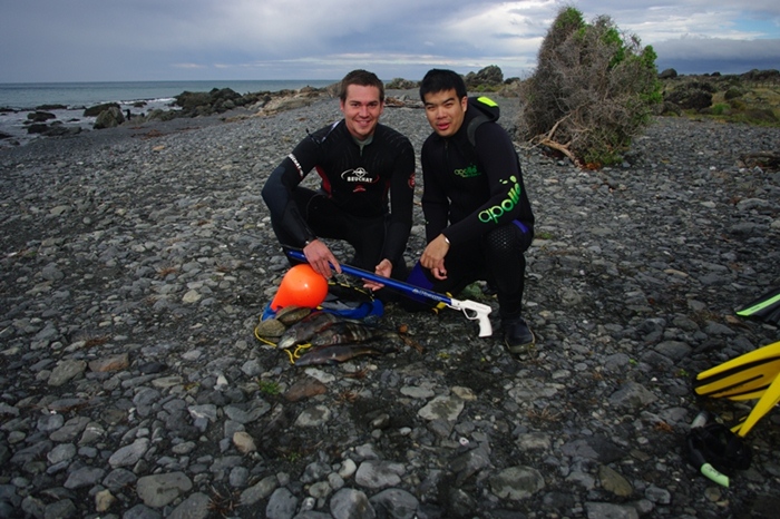 ตกปลา kahawai  (new zealand)