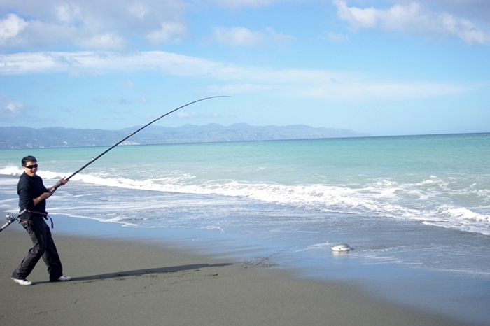 ตกปลา kahawai  (new zealand)