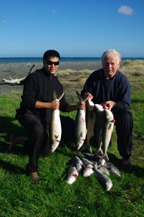 ตกปลา kahawai  (new zealand)