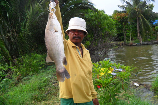 ลุงมานะ วันที่ 24 ก.ค. 54