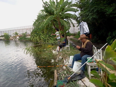 หลิวเต็มบึง (บึก )