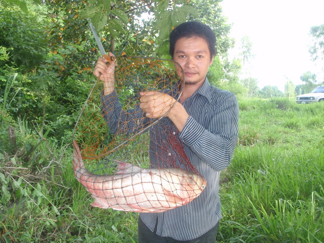 รางวัลแห่งความพยายาม หนองปลาณานนต์ ณ สารคาม 