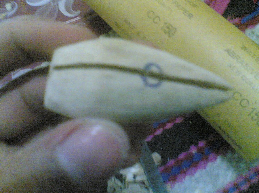 กบในแบบของผม(Sambourne)