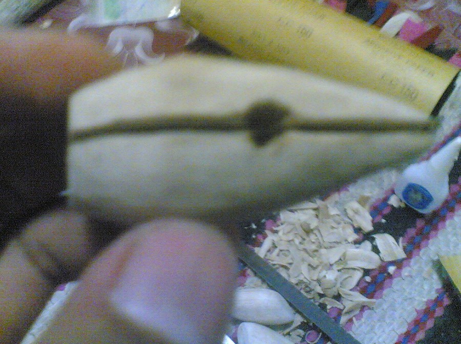 กบในแบบของผม(Sambourne)