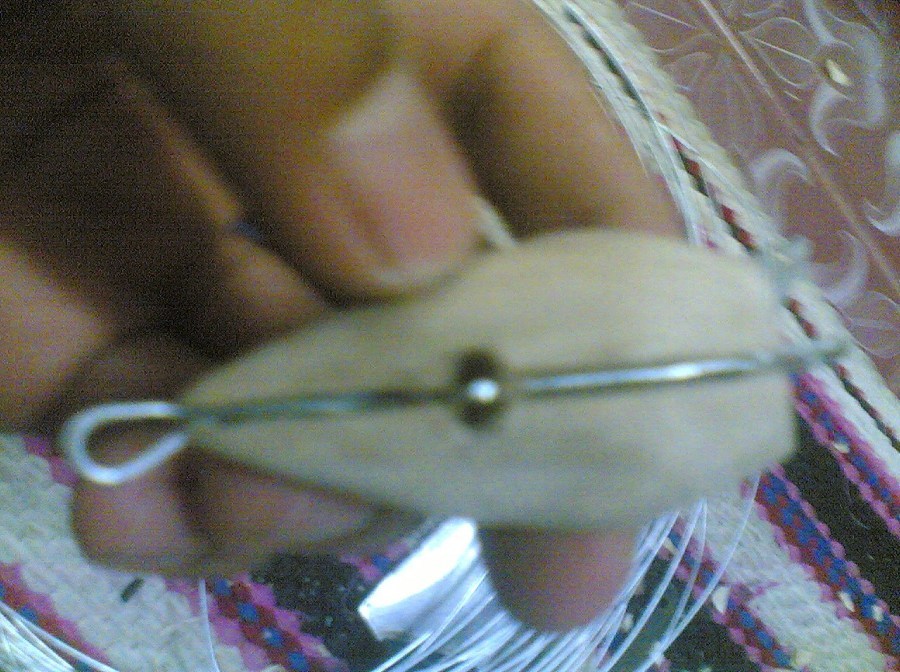 กบในแบบของผม(Sambourne)
