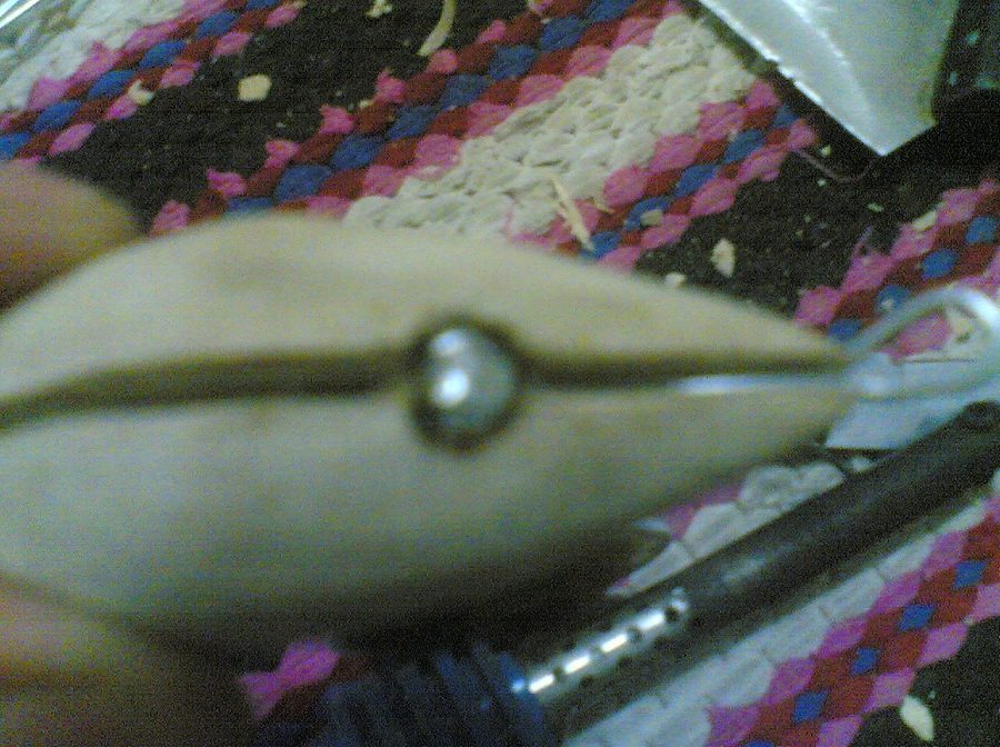 กบในแบบของผม(Sambourne)
