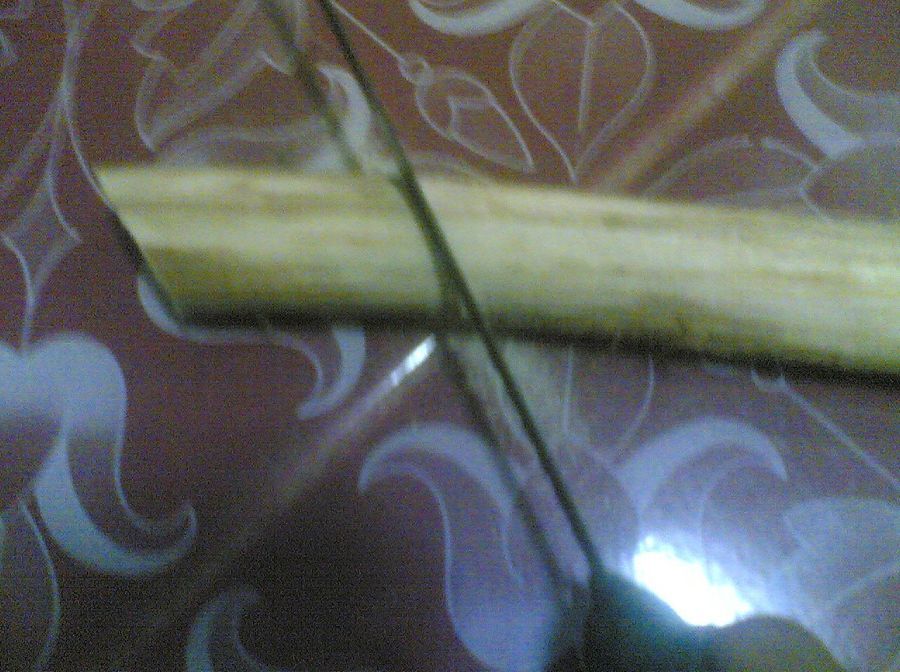กบในแบบของผม(Sambourne)