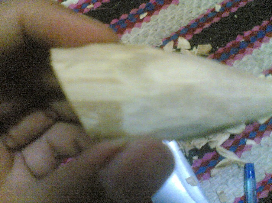 กบในแบบของผม(Sambourne)