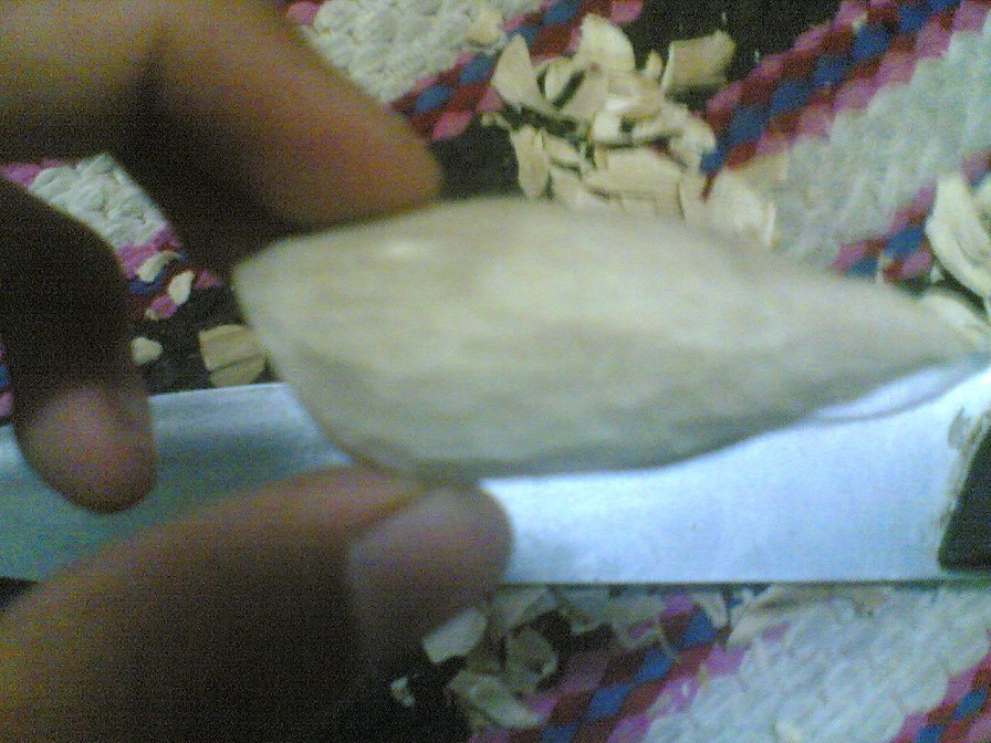 กบในแบบของผม(Sambourne)