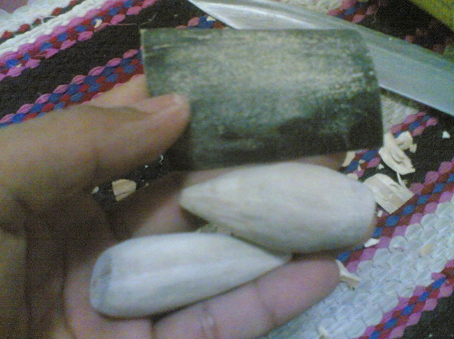 กบในแบบของผม(Sambourne)