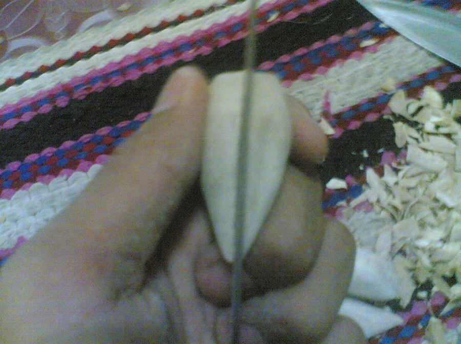 กบในแบบของผม(Sambourne)