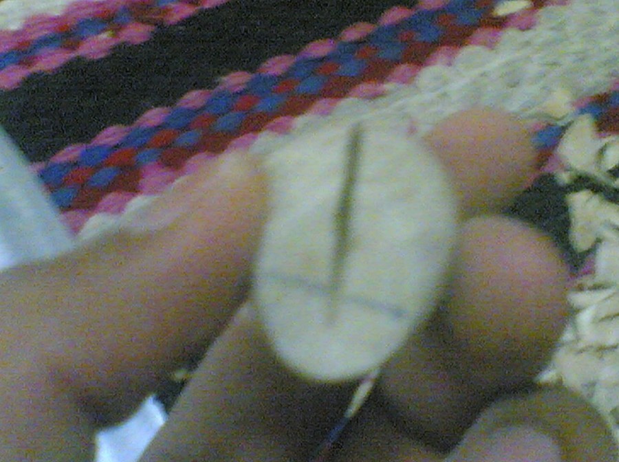 กบในแบบของผม(Sambourne)
