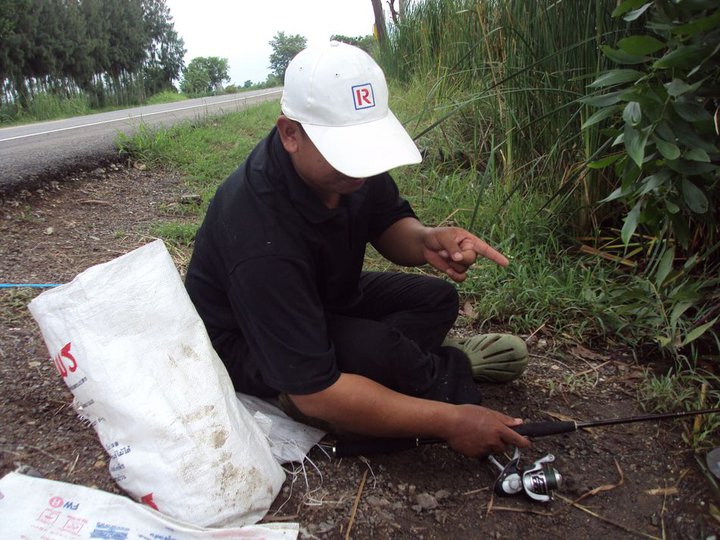 ช่อนลำลูกกา กับ yoolek 