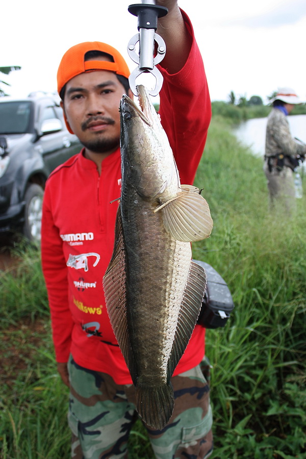 รับอีก 5 ท่านครับ ปิดรับ