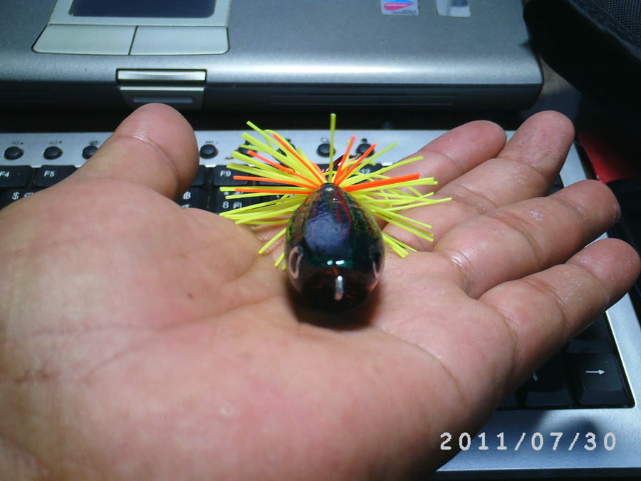 30กค54(ส้มดำหลังปีกแมงทับ)