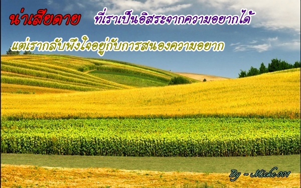 น่าเสียดาย......