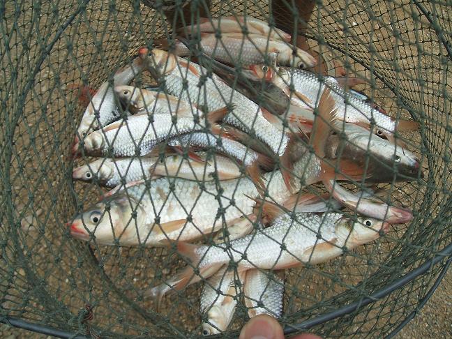 วันพักผ่อน ที่เรือนแพ fishing