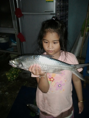 ตกปลาแก้เซ็ง..ได้ปลาอะไรมาไม่รู้ช่วยบอกที