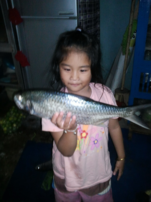 ตกปลาแก้เซ็ง..ได้ปลาอะไรมาไม่รู้ช่วยบอกที