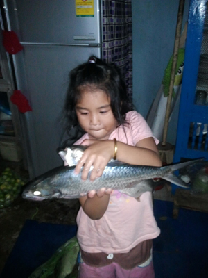 ตกปลาแก้เซ็ง..ได้ปลาอะไรมาไม่รู้ช่วยบอกที