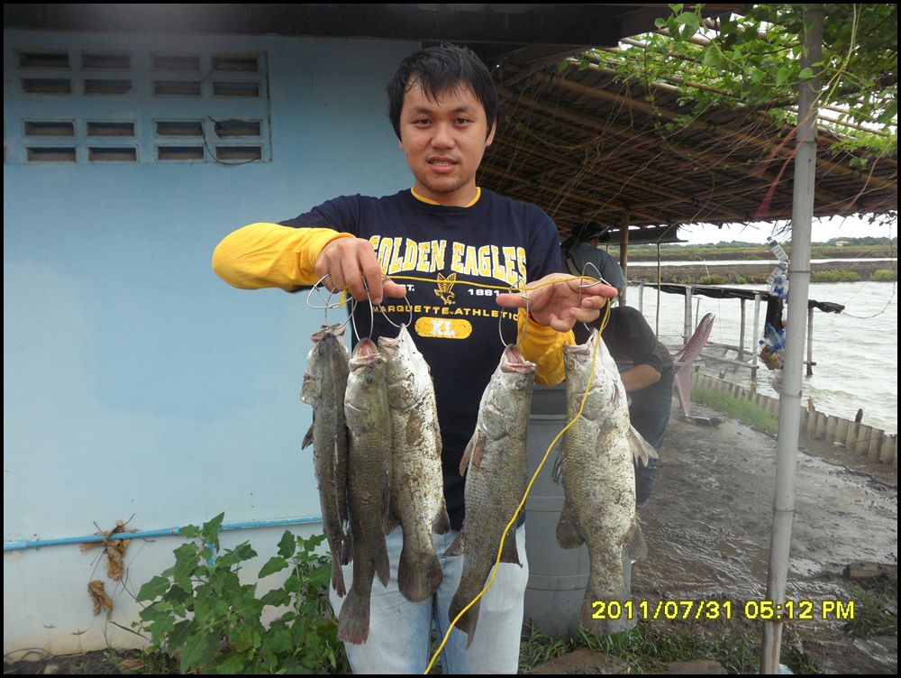 ใหญ่จิงไรจิง@บ่อน้องพลอย31-7-54